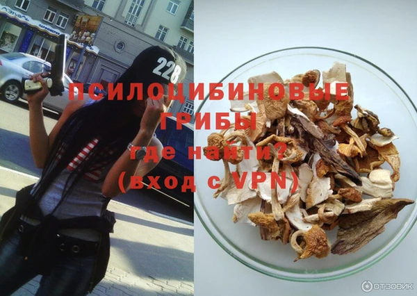 Альфа ПВП Ладушкин
