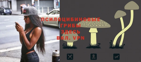 МДПВ Краснослободск