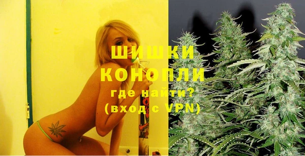 МДПВ Краснослободск