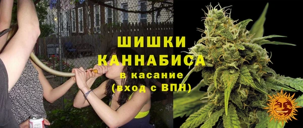МДПВ Краснослободск