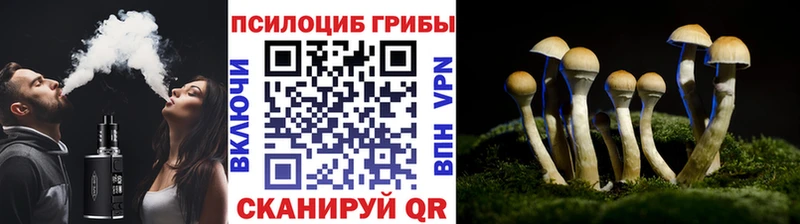 Галлюциногенные грибы мицелий  Шилка 